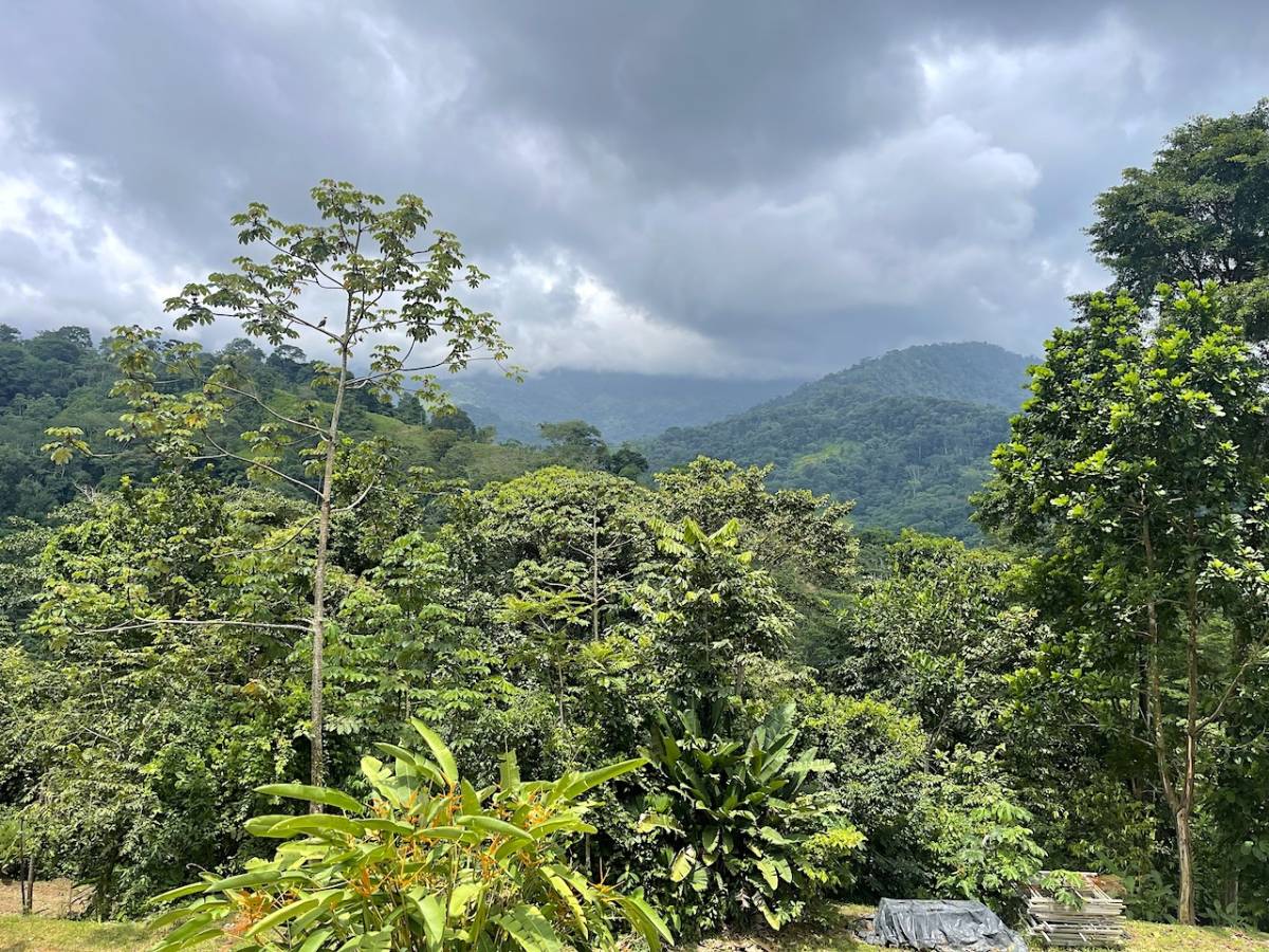 Propiedad en Uvita