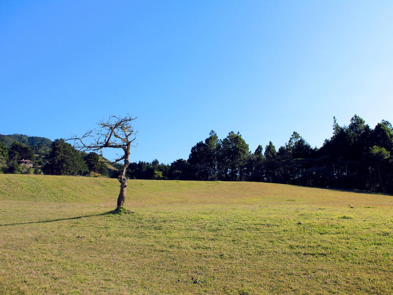 Terreno en San Isidro