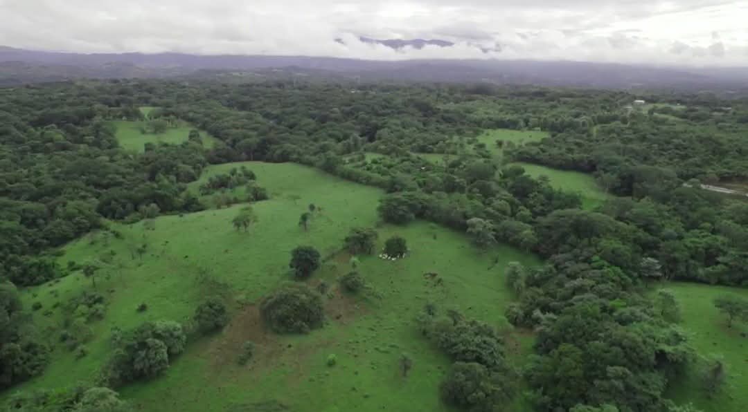 Finca en San Mateo