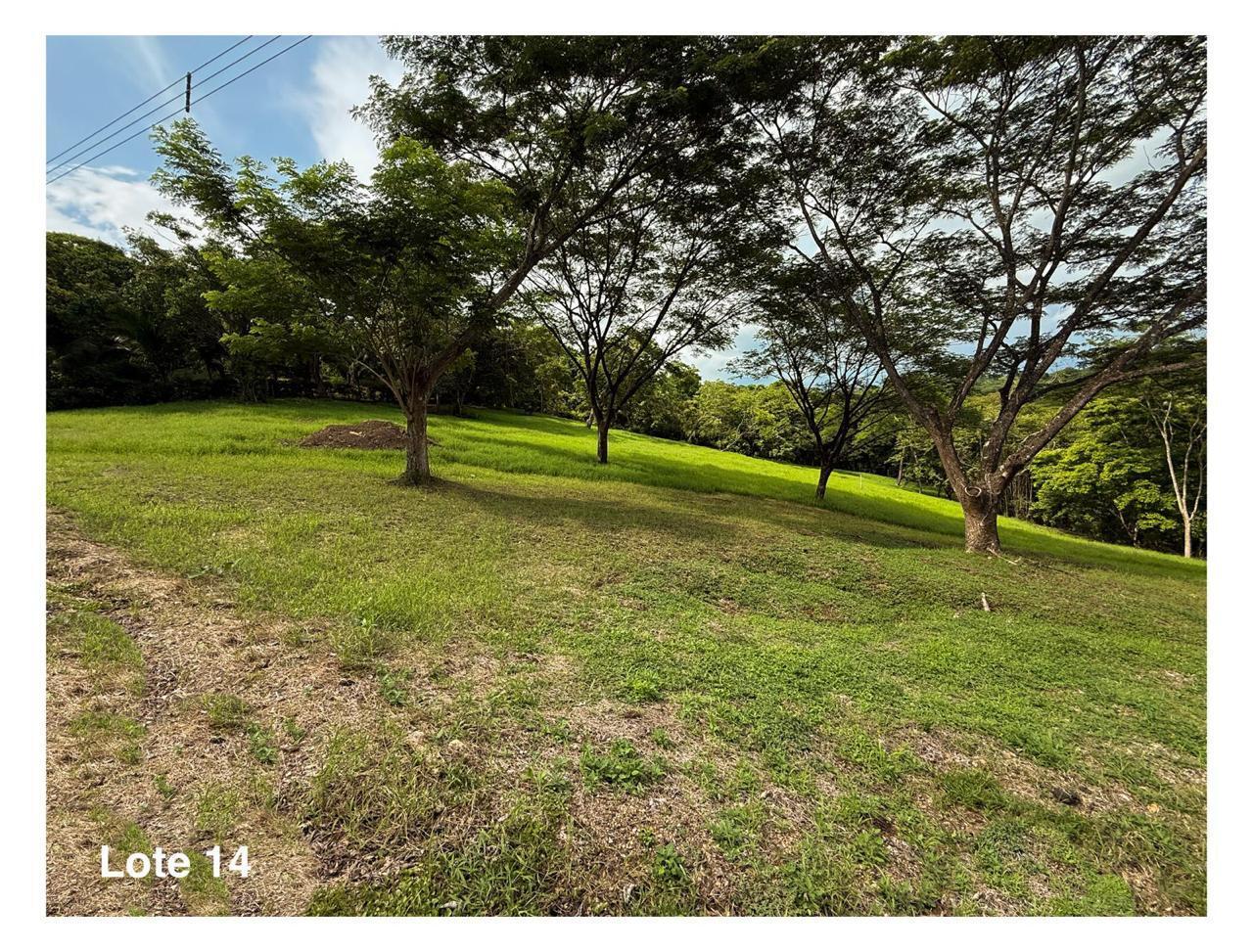 Property at Orotina