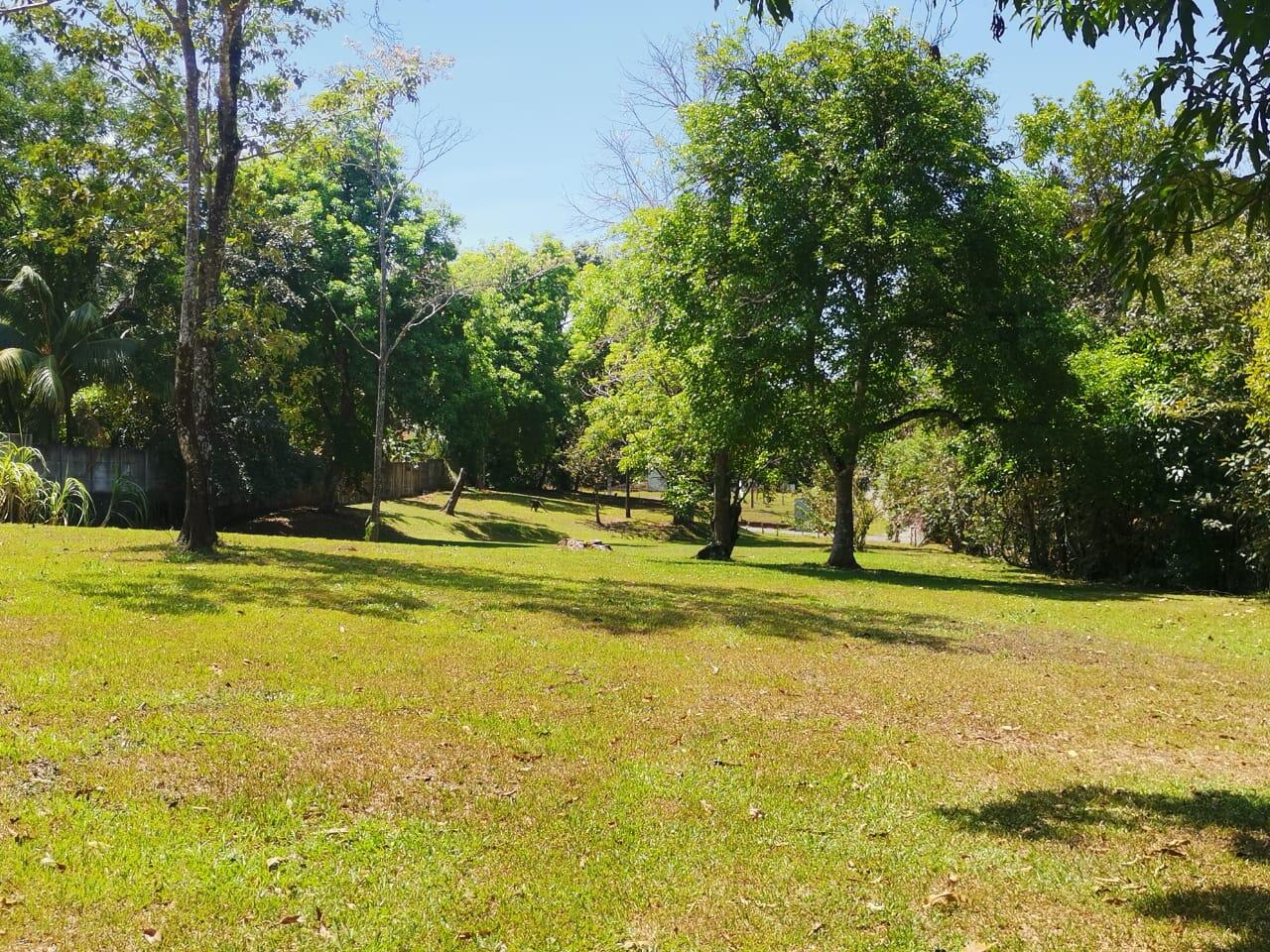 Propiedad en San Mateo