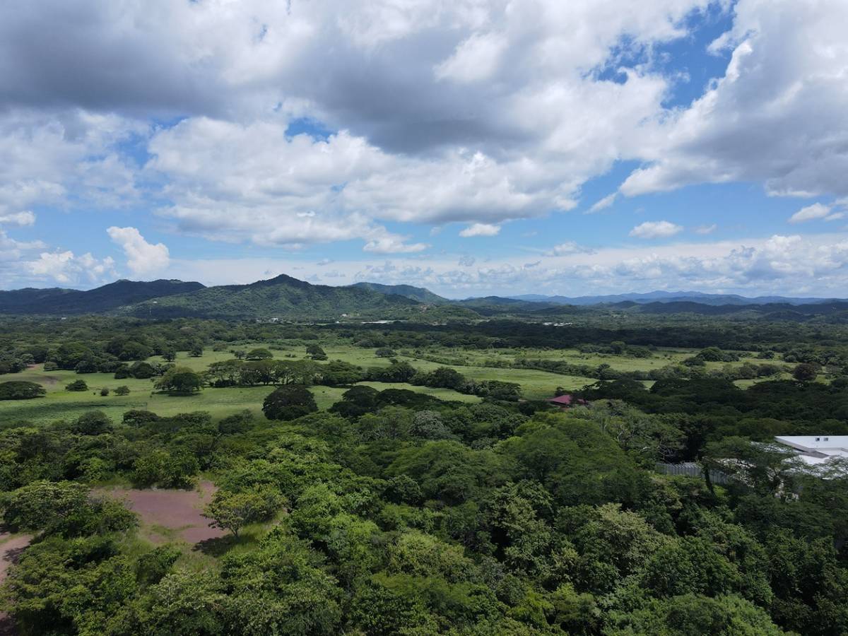 Propiedad en Sardinal