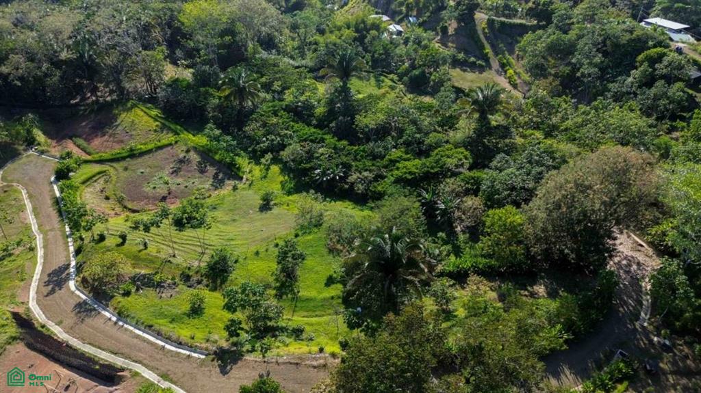 Land at Bahía Ballena