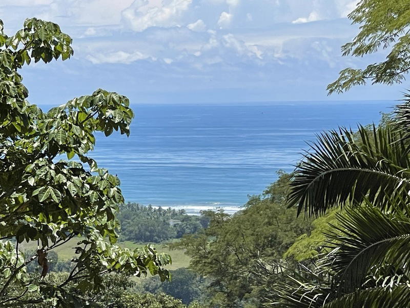 Land at Savegre