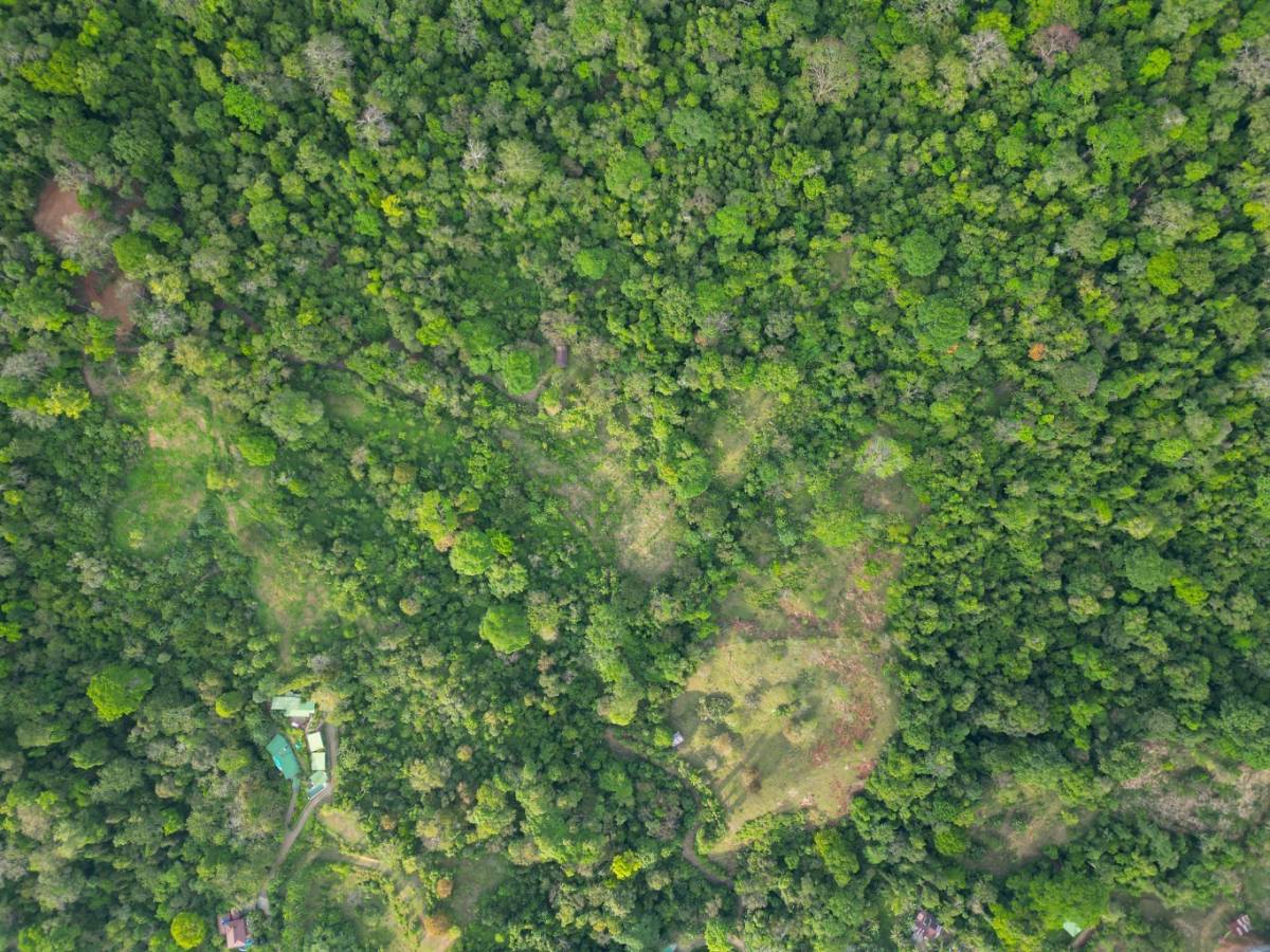 Finca en Uvita