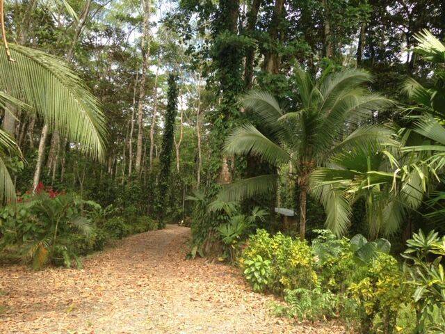 Property at Puerto Vargas