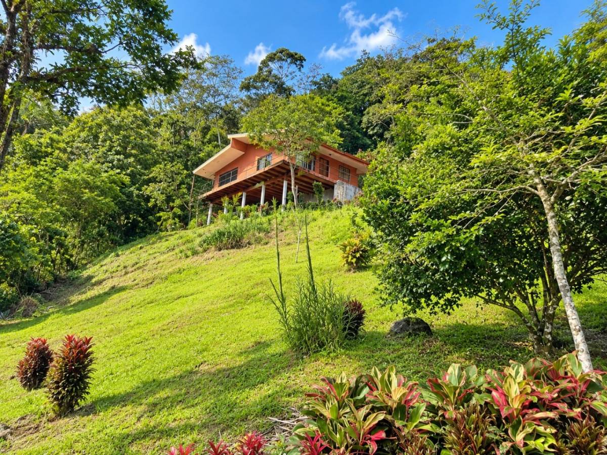 Finca en Turrialba