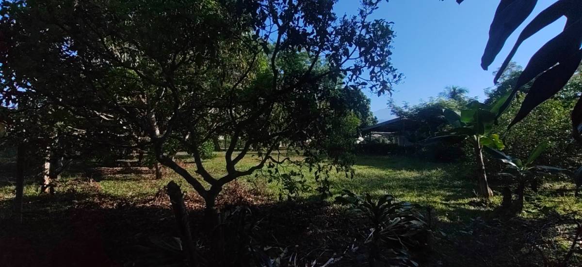 Propiedad en San Isidro del General