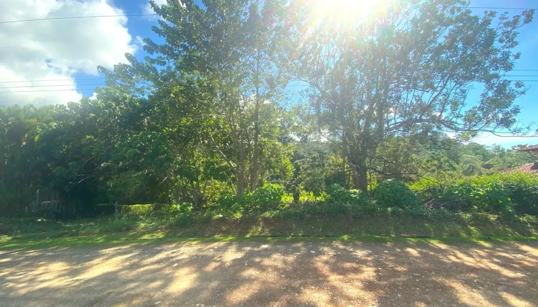 Terreno en Bahía Ballena