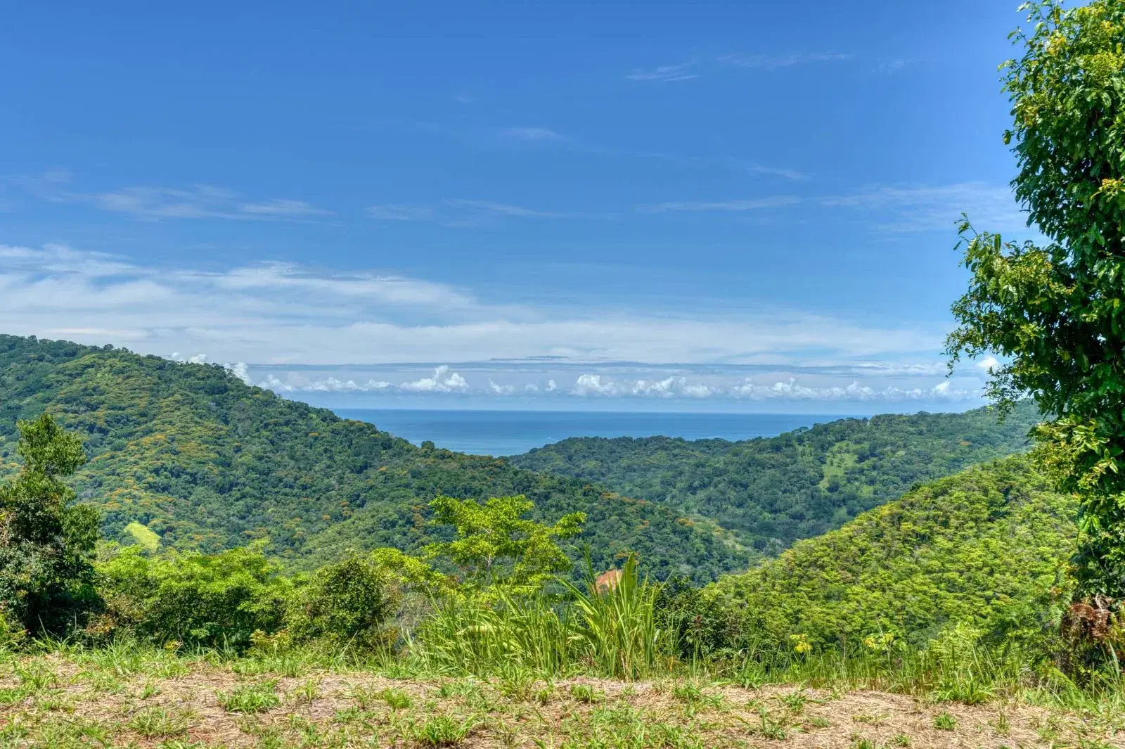 Terreno en Bahía Ballena