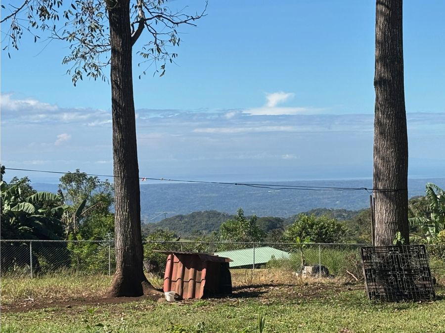 Finca en Jesús