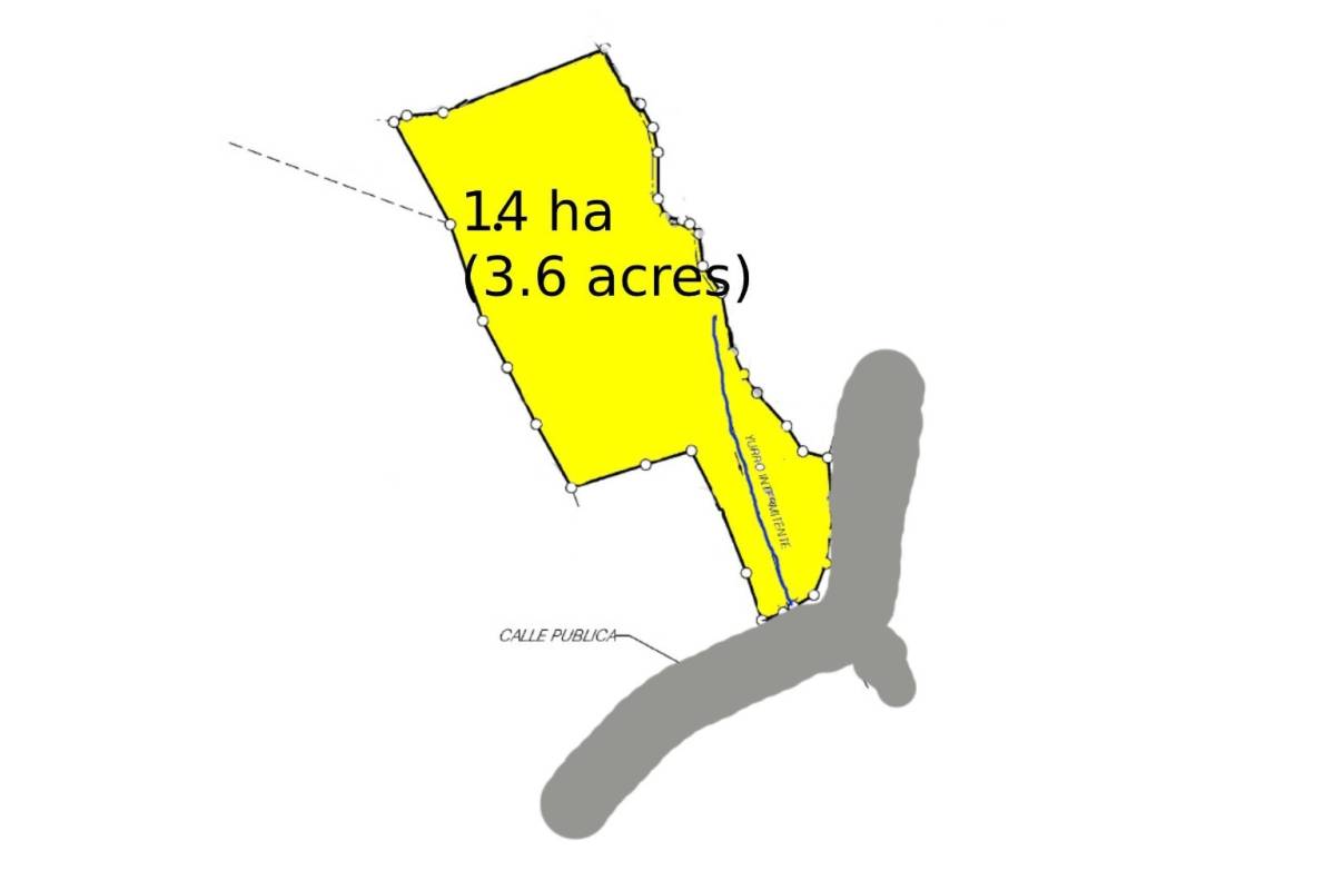 Estate at San Isidro del General