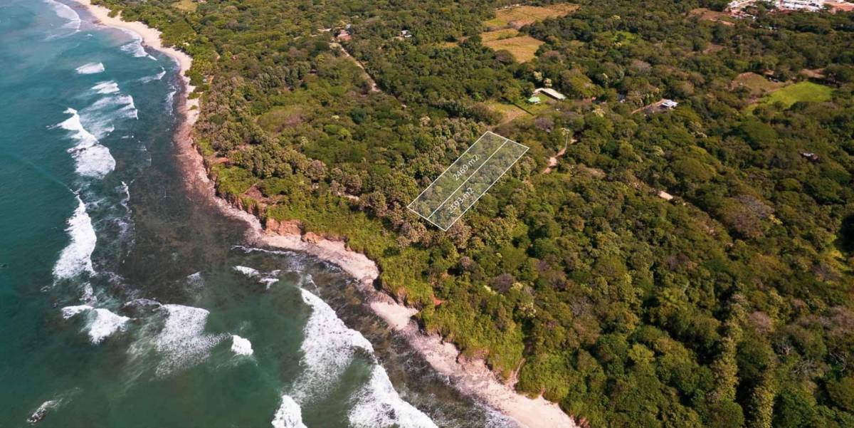 Property at Avellanas