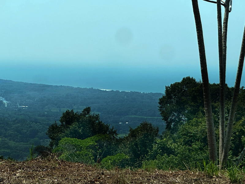 Land at Savegre