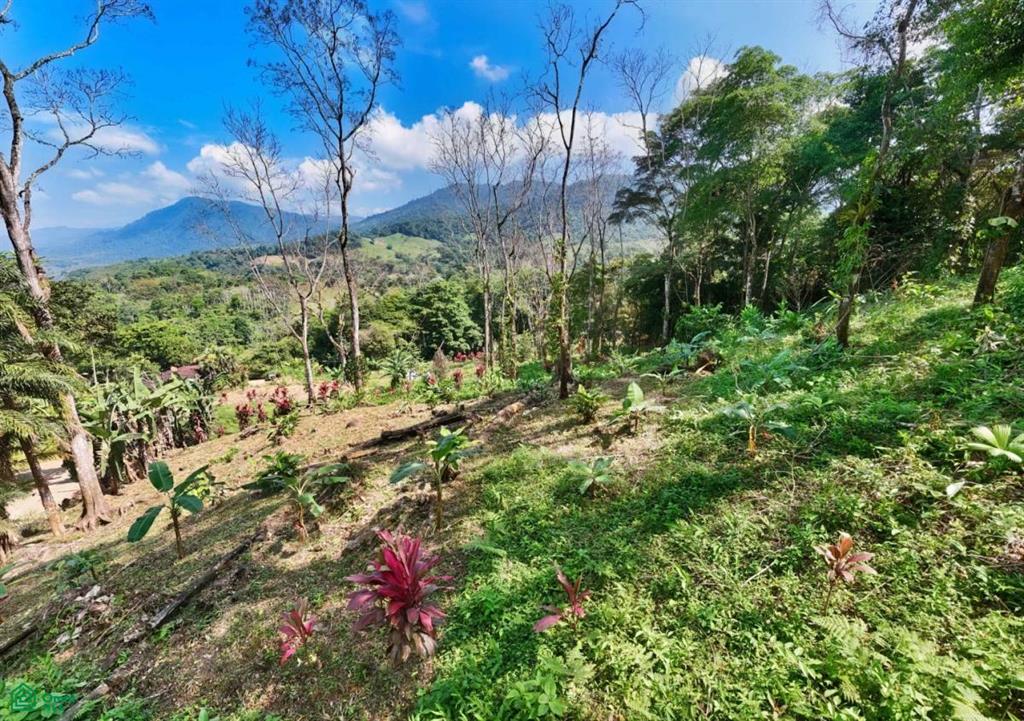Terreno en Barú