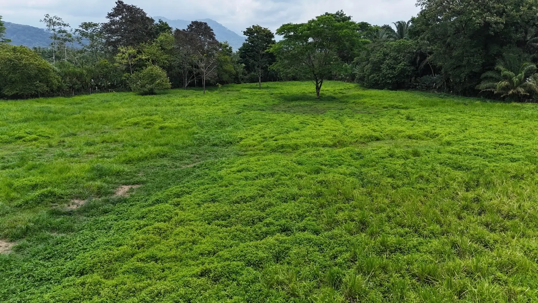 Land at Quepos