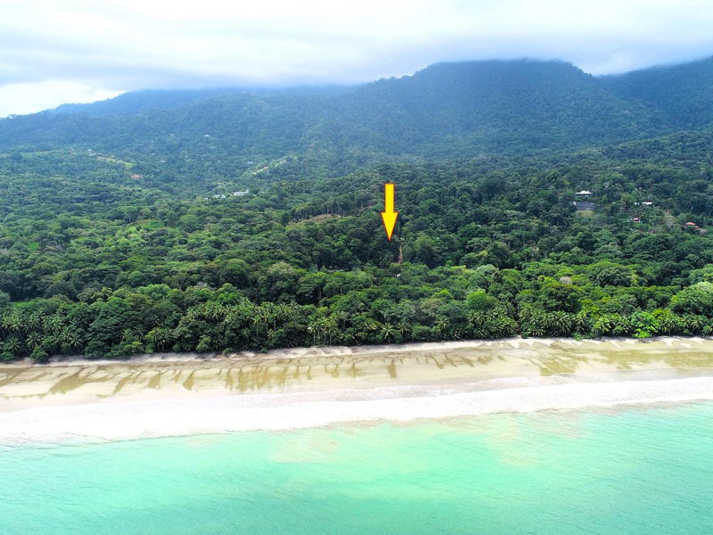Land at Bahía Ballena