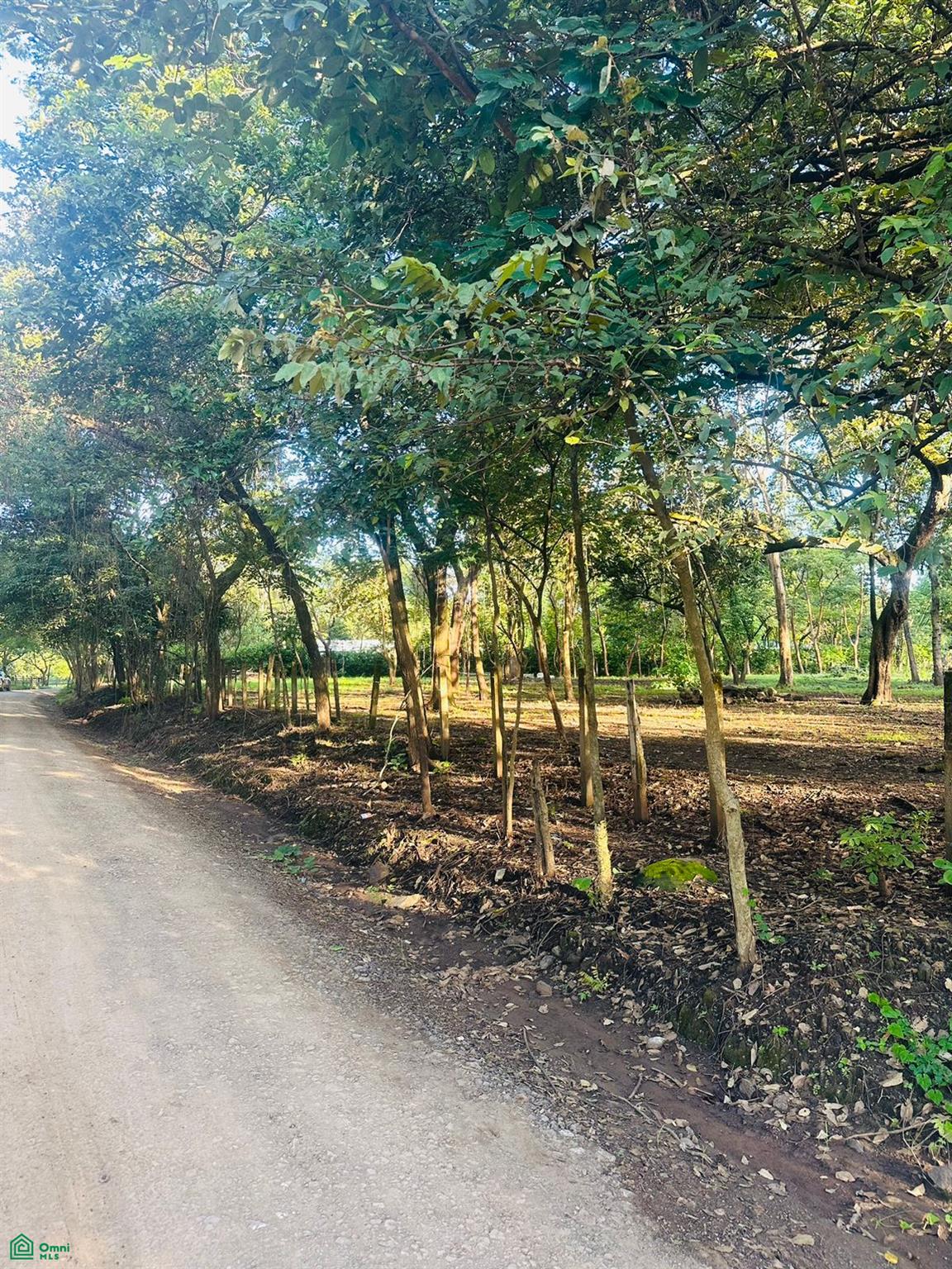 Terreno en Tamarindo