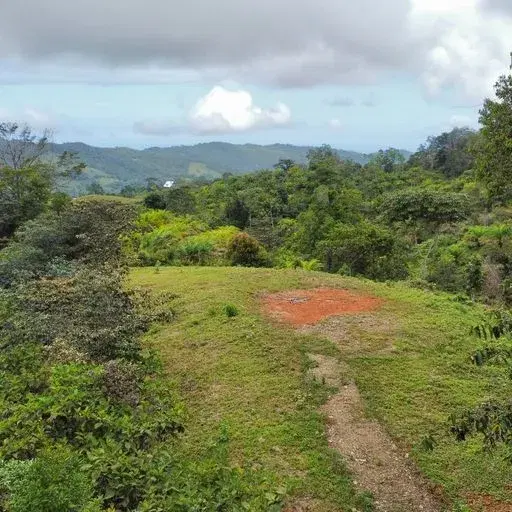 Terreno en San Isidro del General