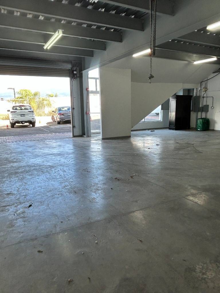 Bodega en San Rafael