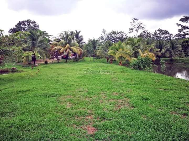 Finca en La Palmera