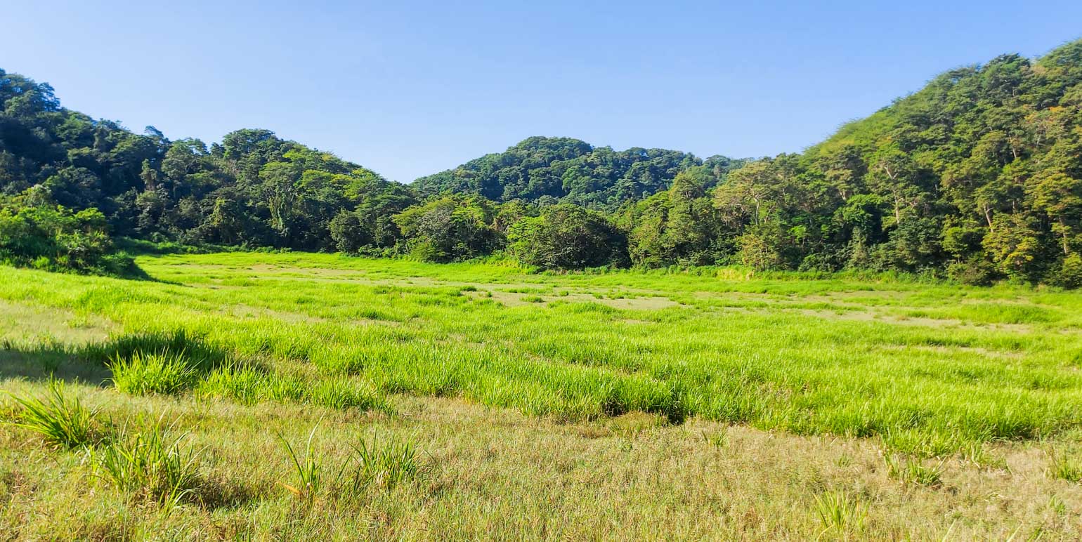 Property at Manzanillo