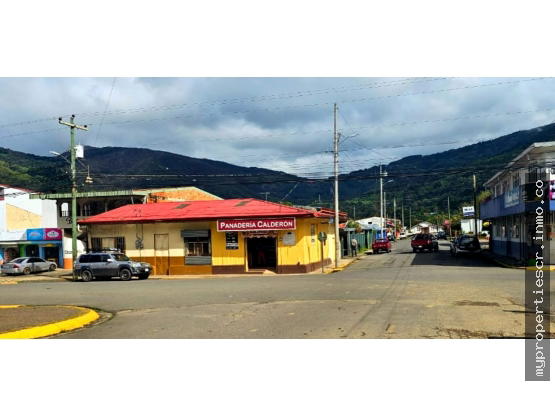 Propiedad en Santa María de Dota