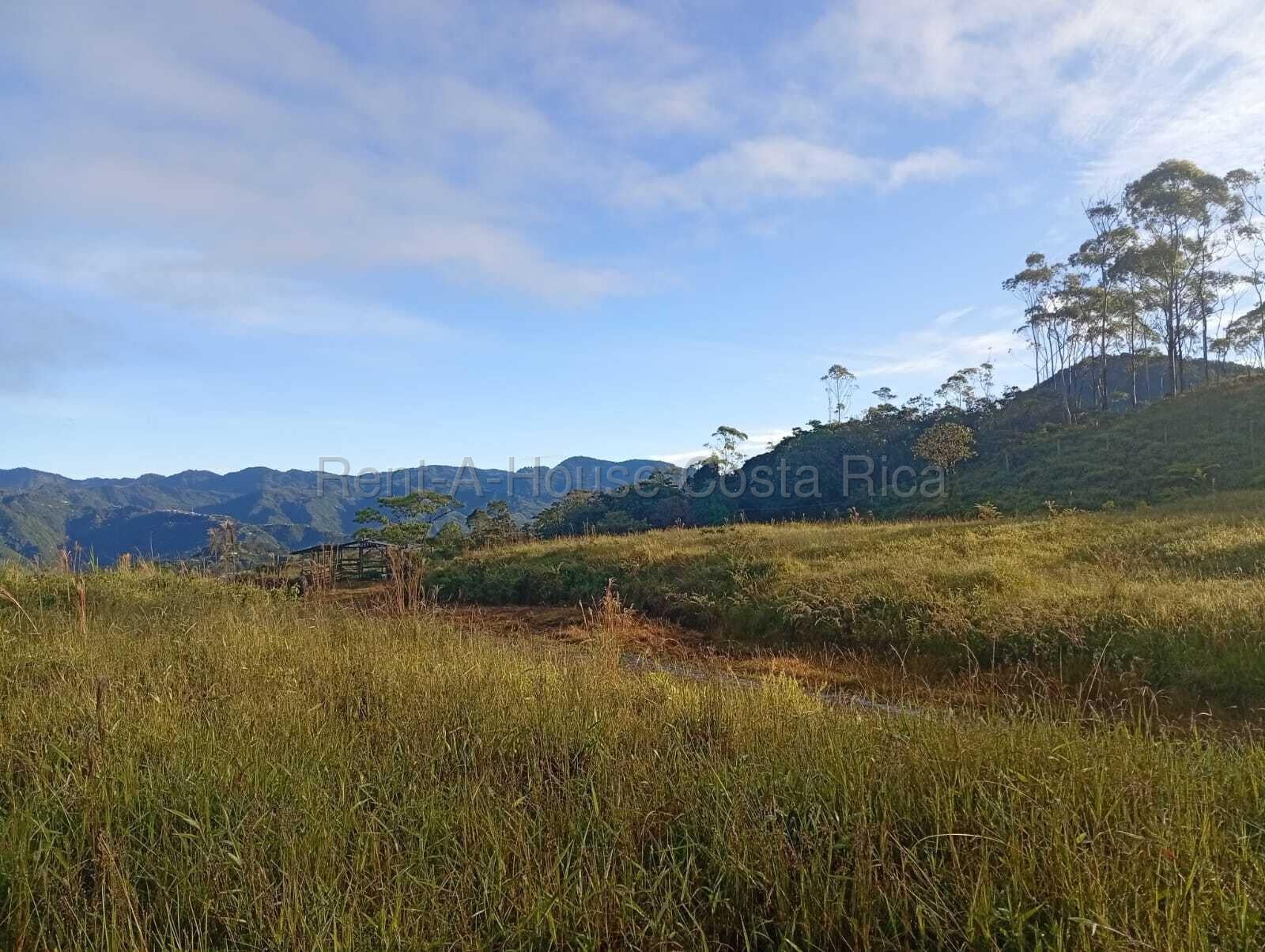 Property at San Carlos