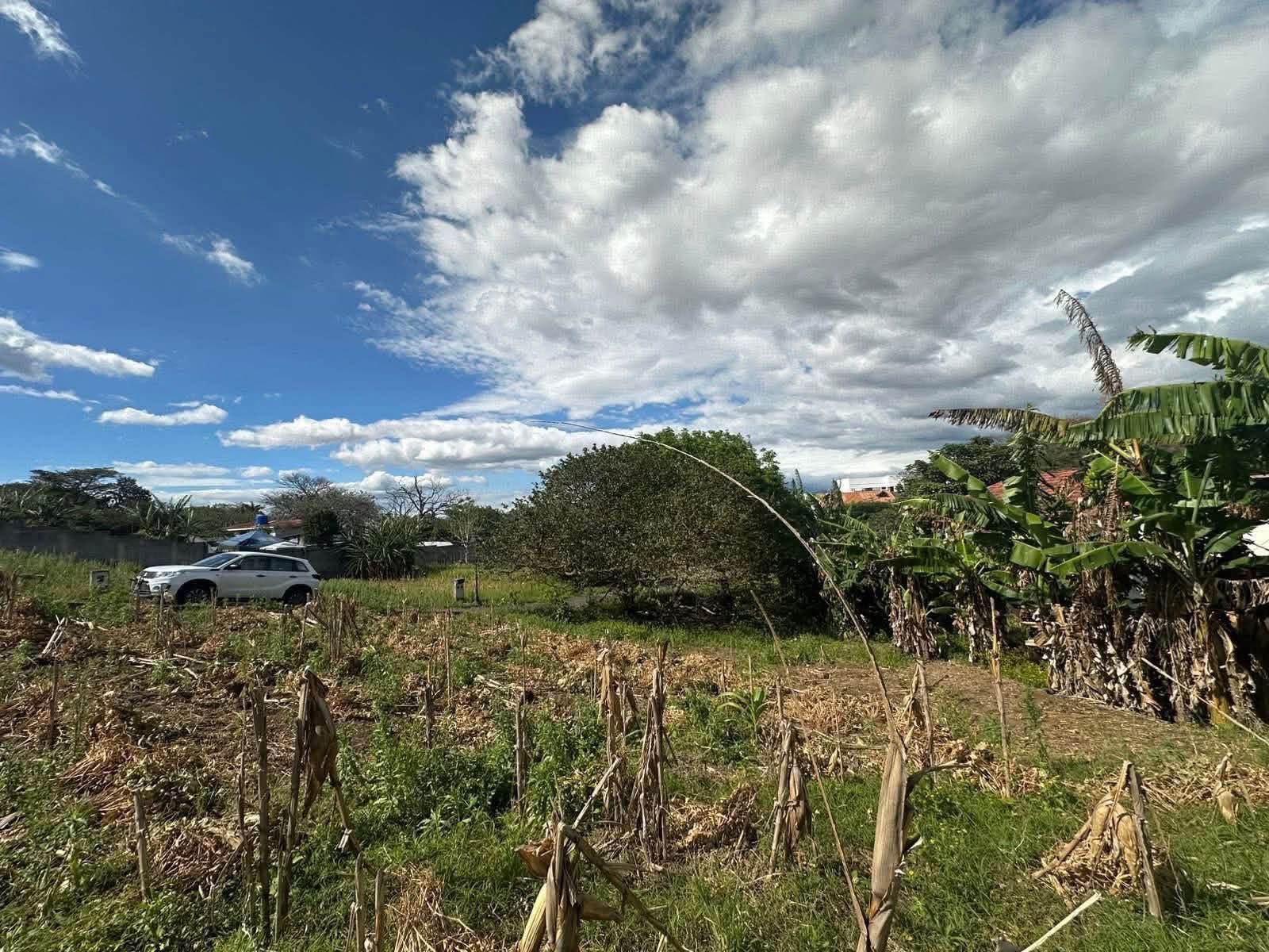 Land at San Rafael