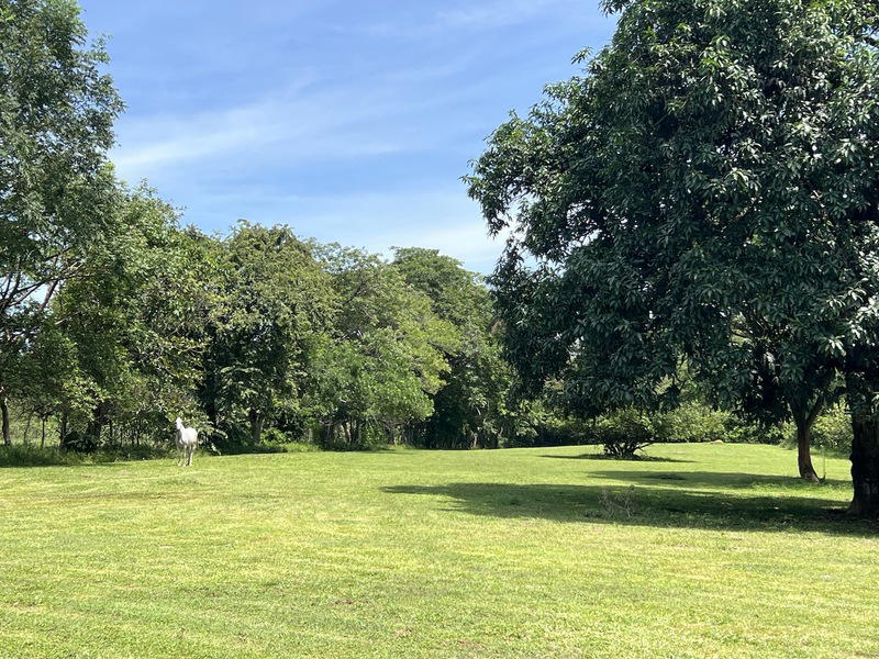 Land at San Mateo