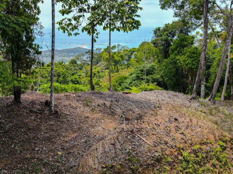 Terreno en Bahía Ballena