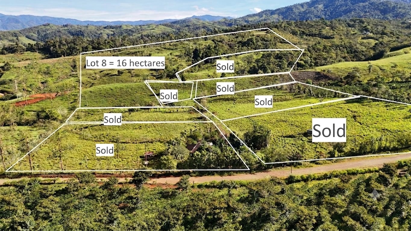 Terreno en San Isidro del General