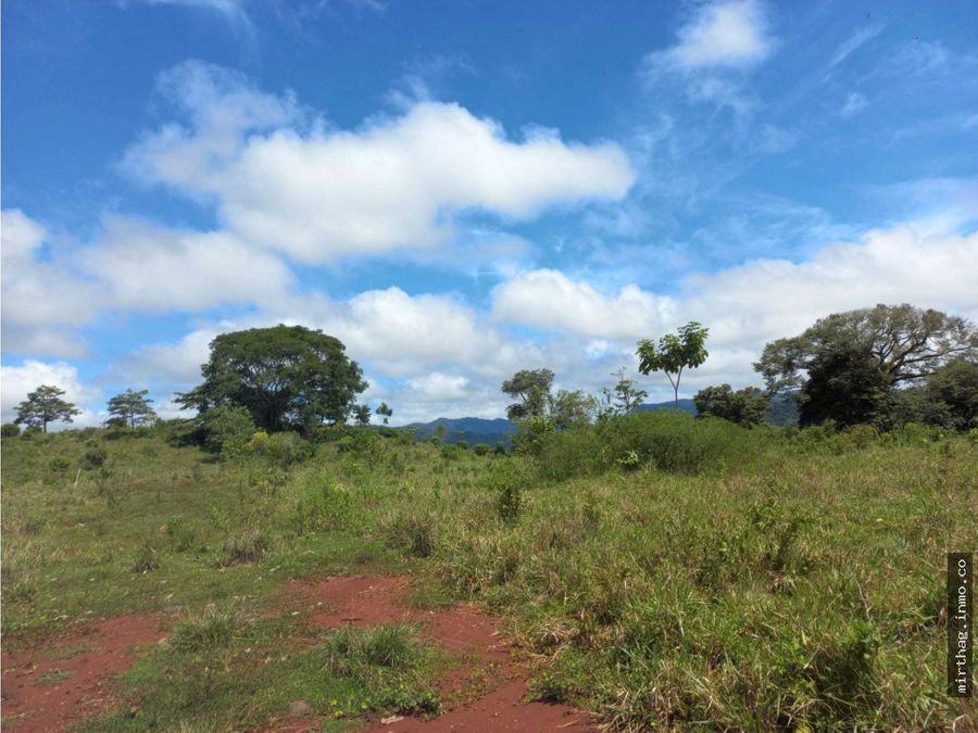 Land at Cóbano