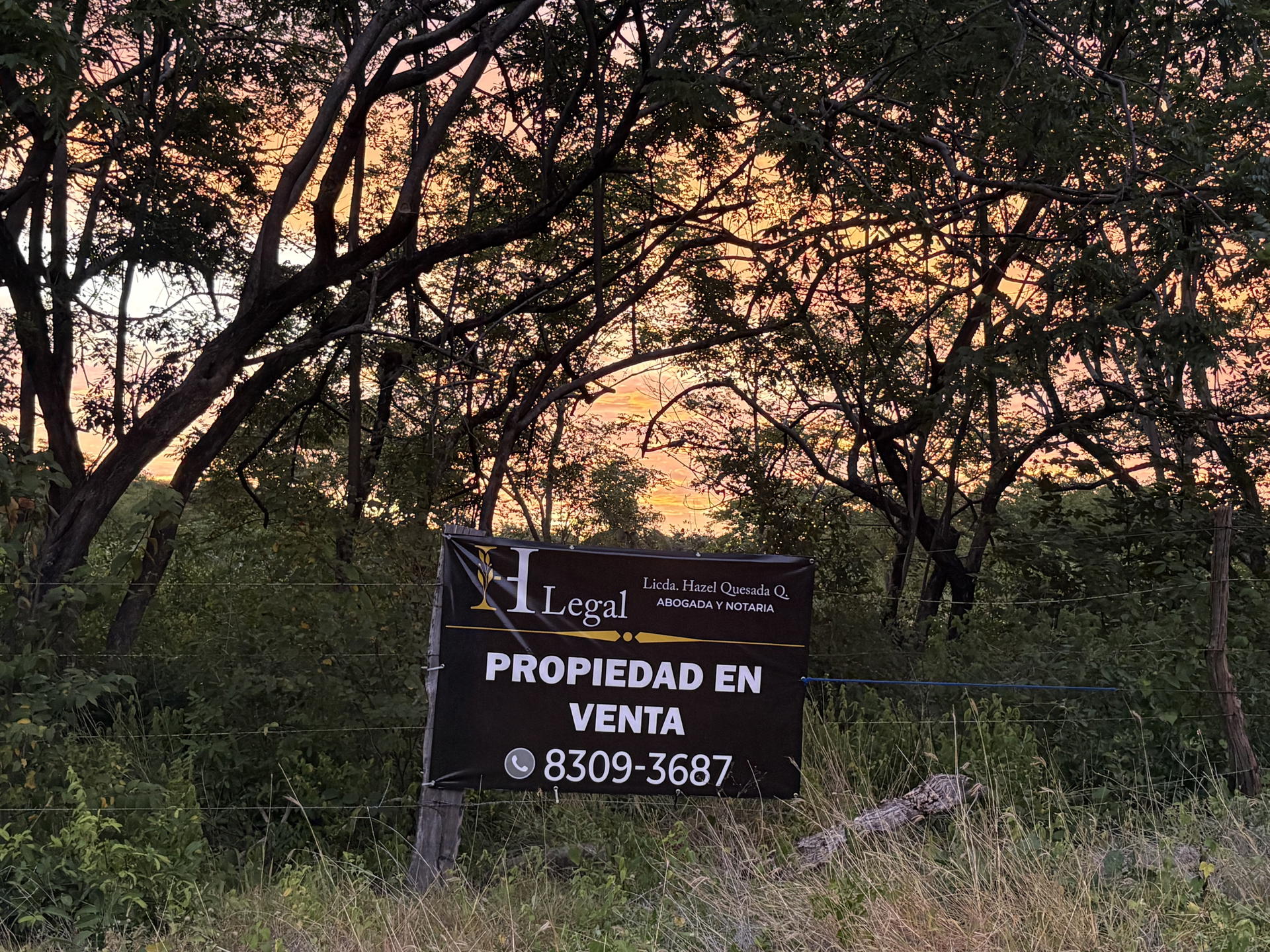 Terreno en Cañas
