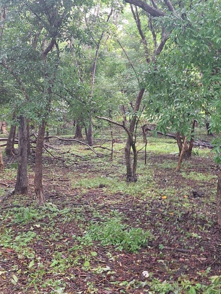 Propiedad en Playa Negra