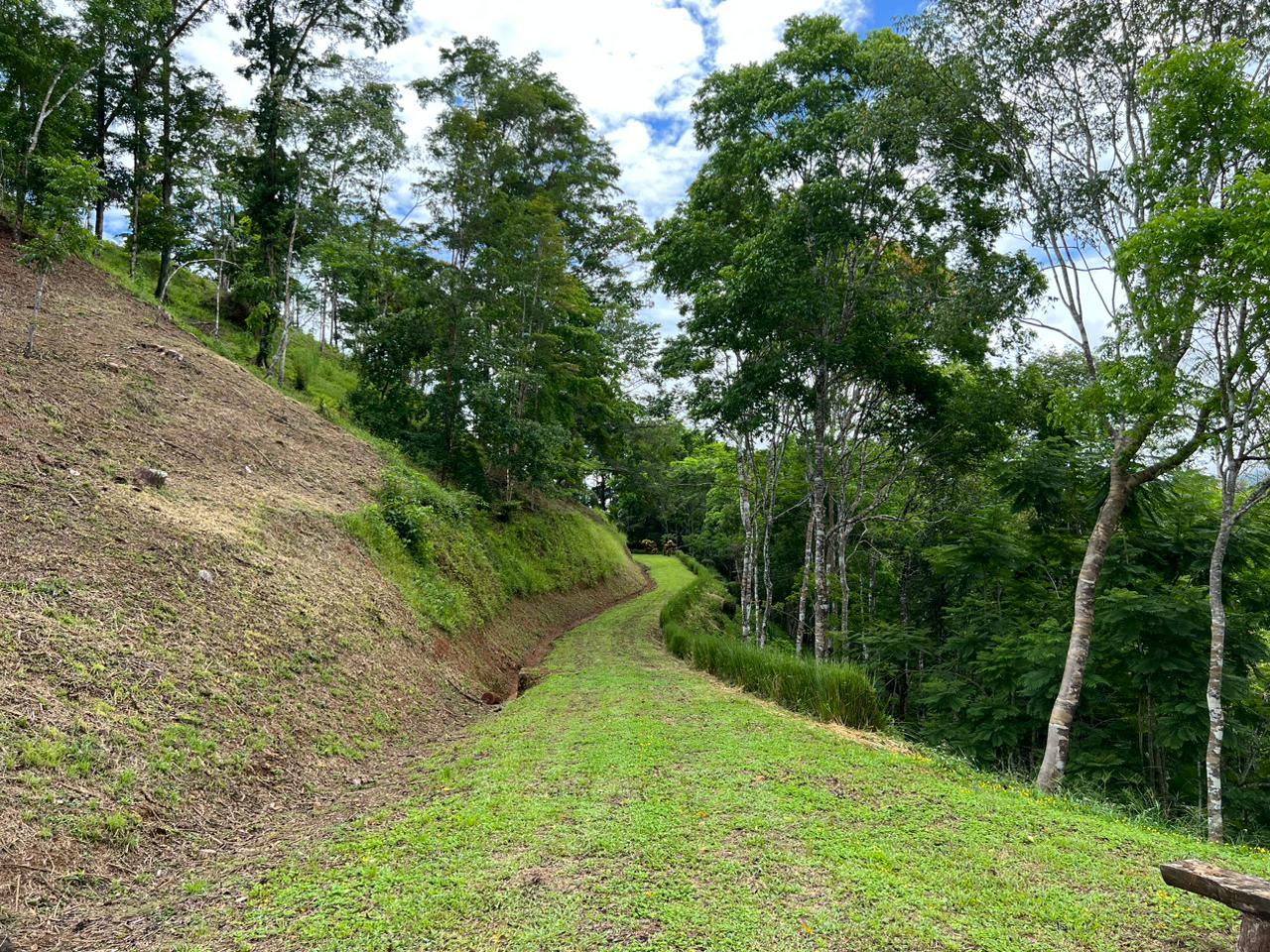 Terreno en Bahía Ballena