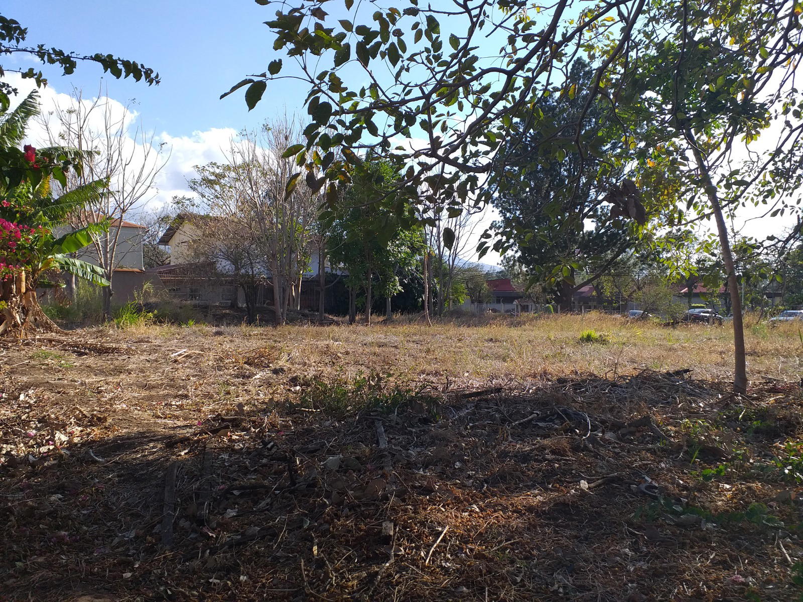 Terreno en San Antonio