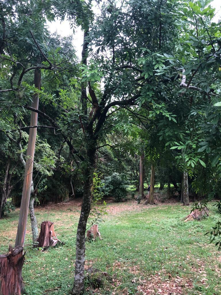 Land at Hacienda El Cocoy