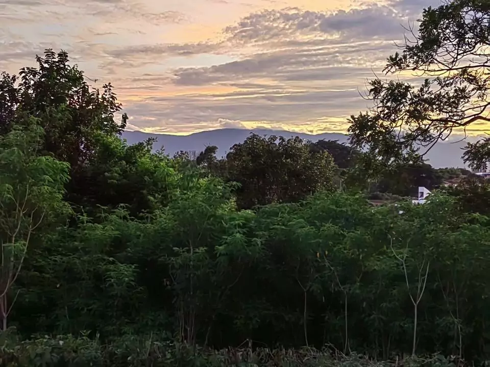 Property at San Rafael