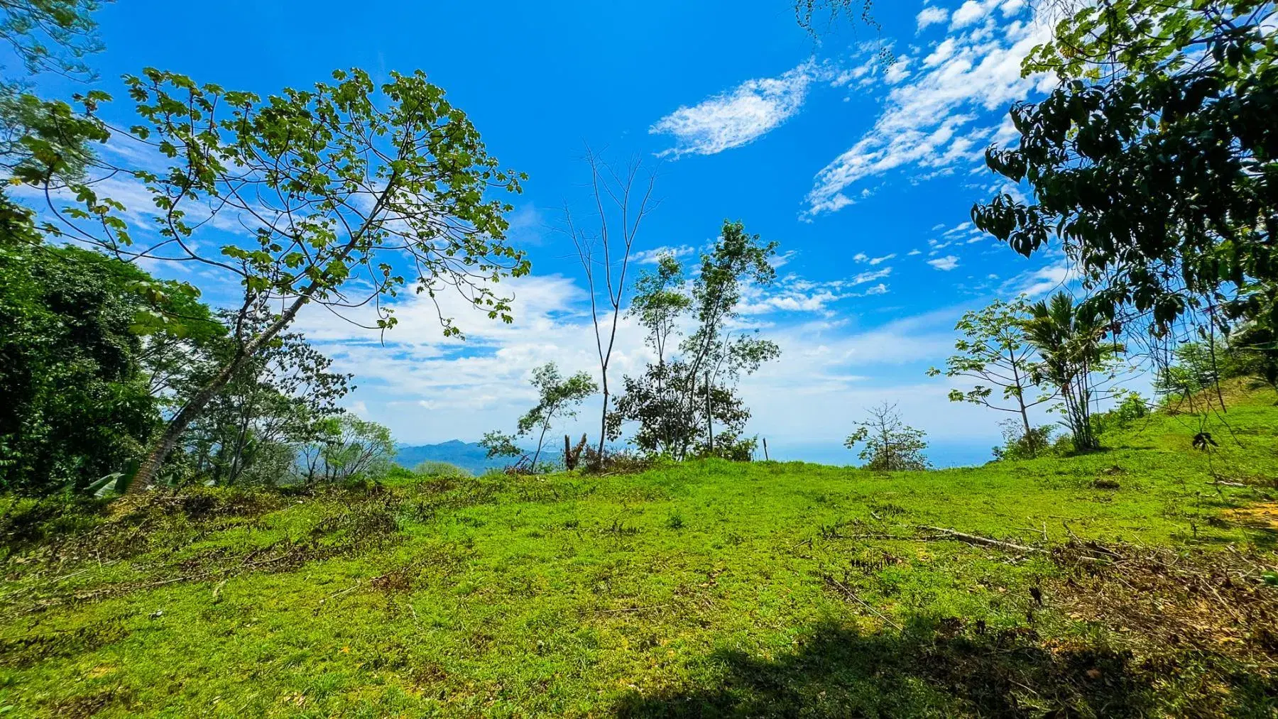Land at Puerto Cortés