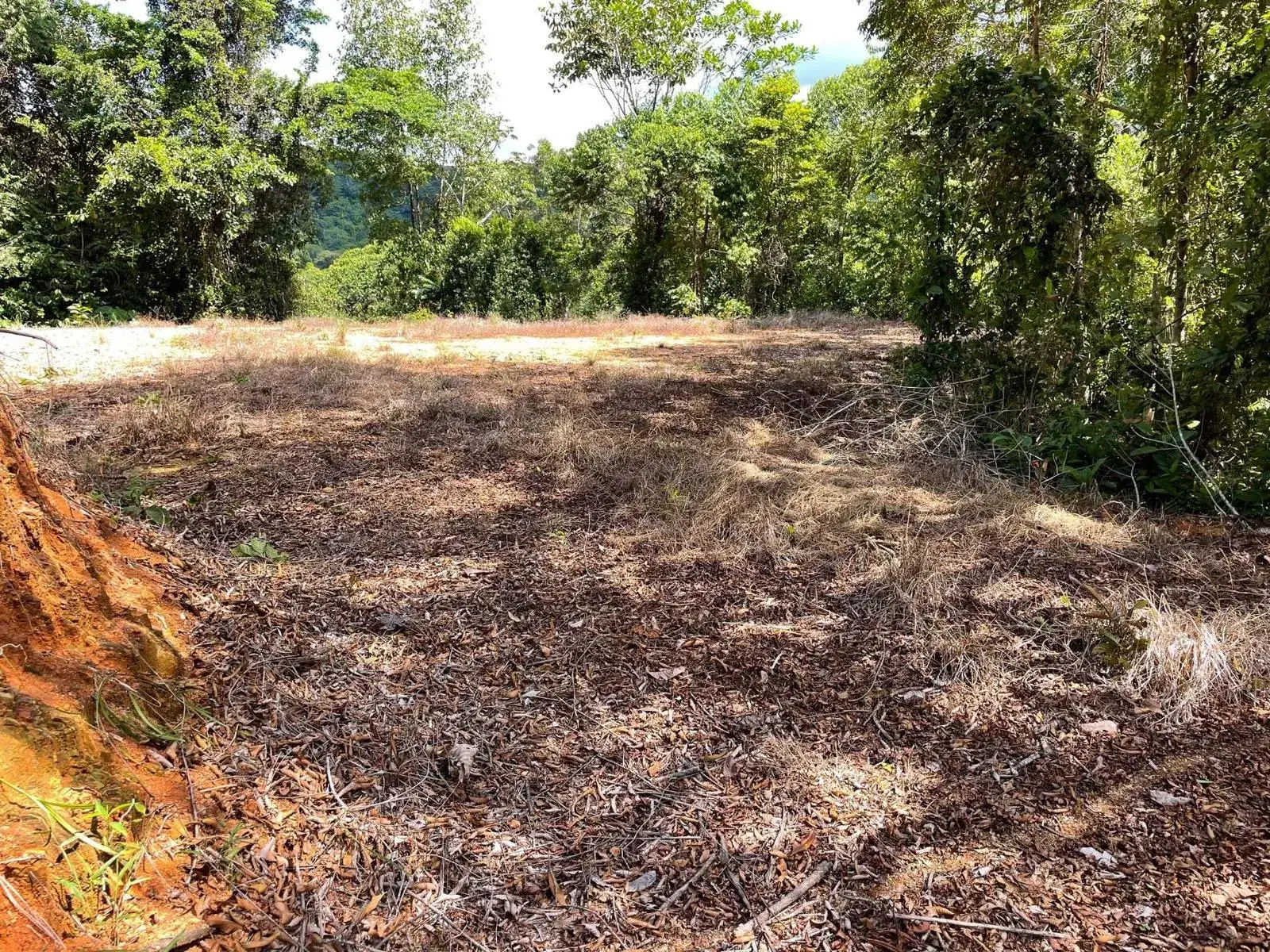 Terreno en Puerto Cortés