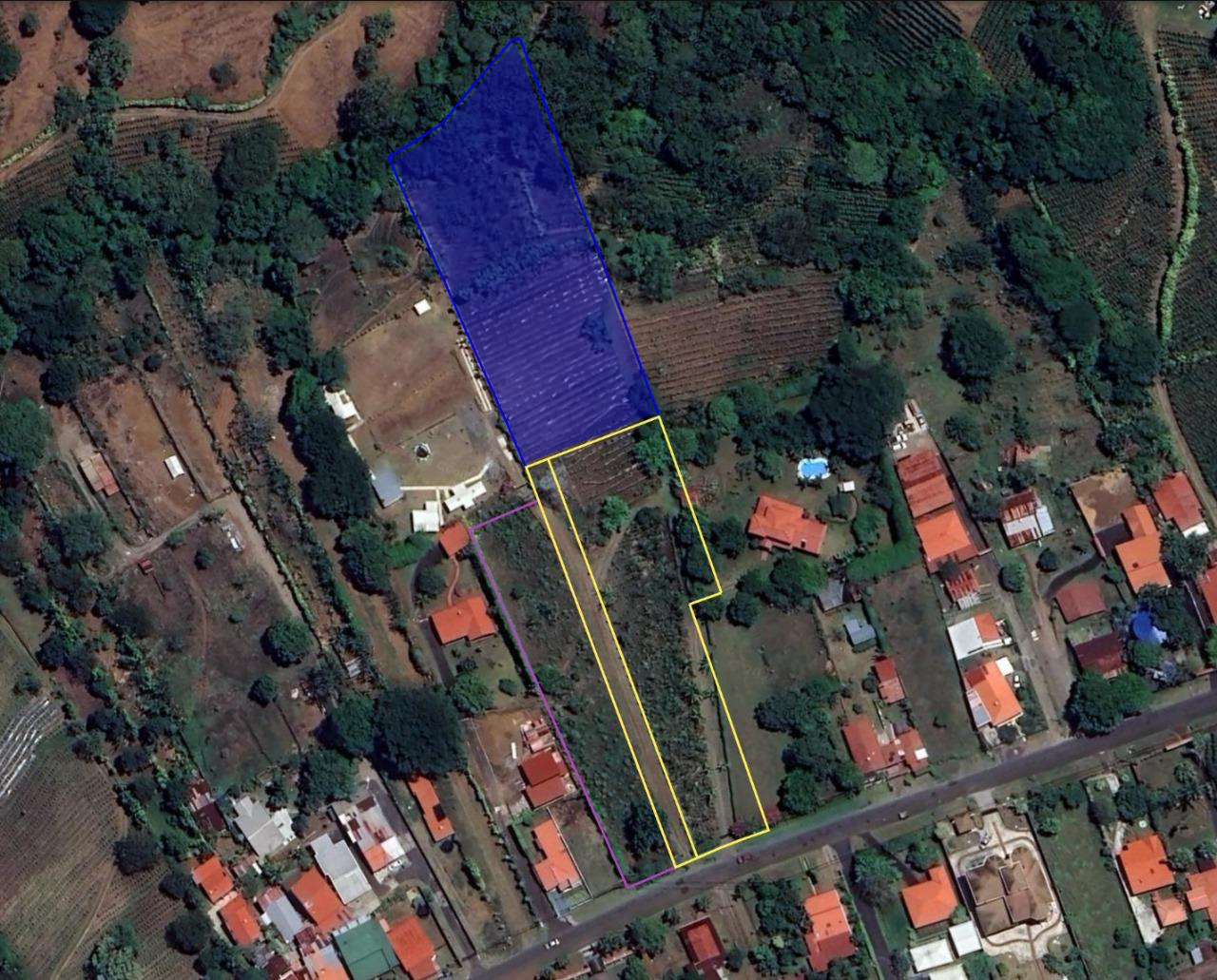 Land at San Pedro