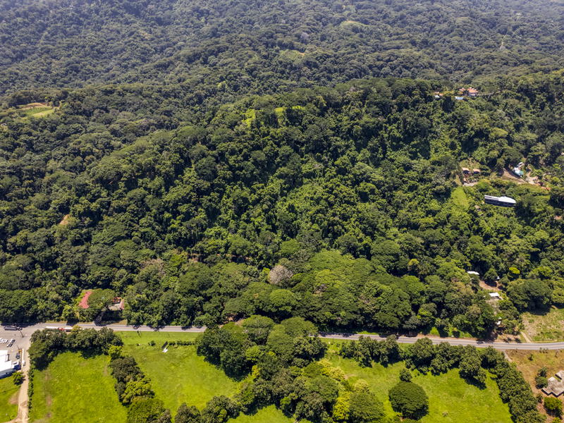 Land at Bahía Ballena