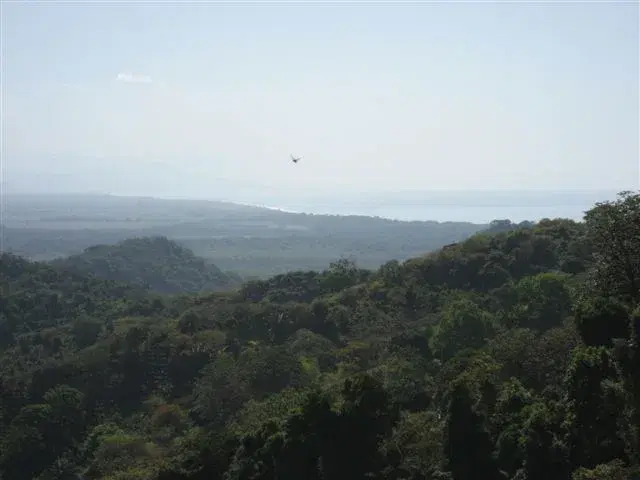 Land at Quepos