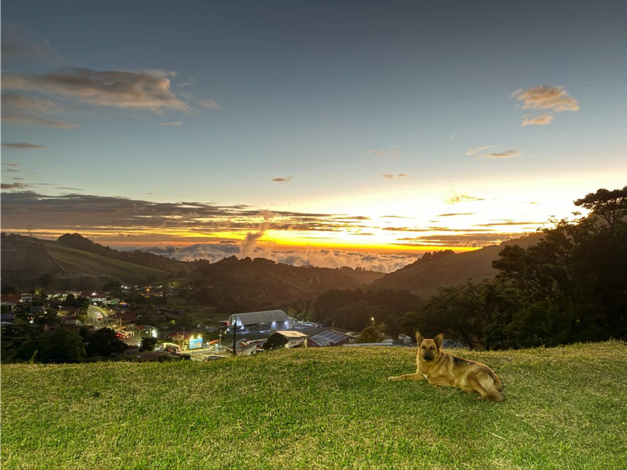 Terreno en Laguna