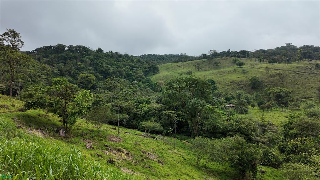 Terreno en Upala