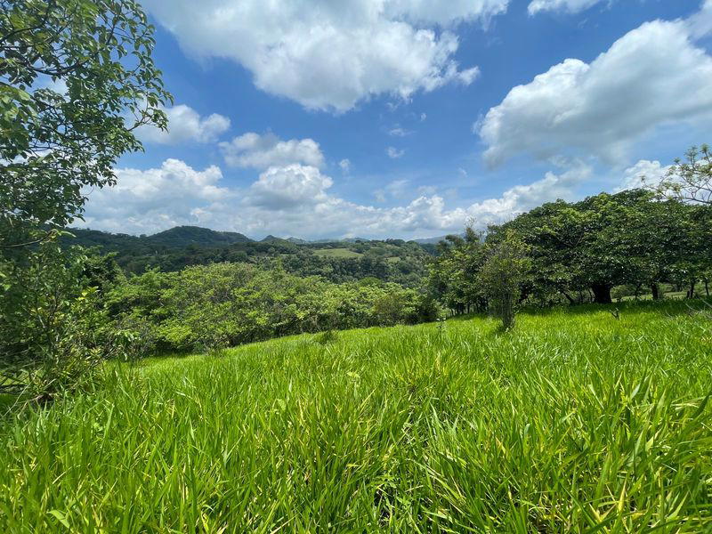 Terreno en Escobal
