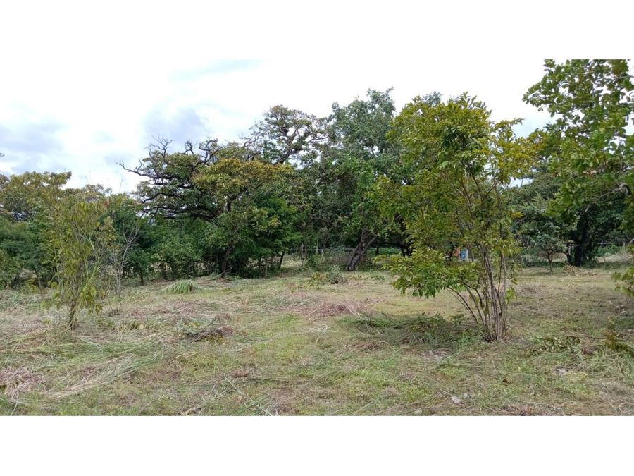 Propiedad en Cañas Dulces