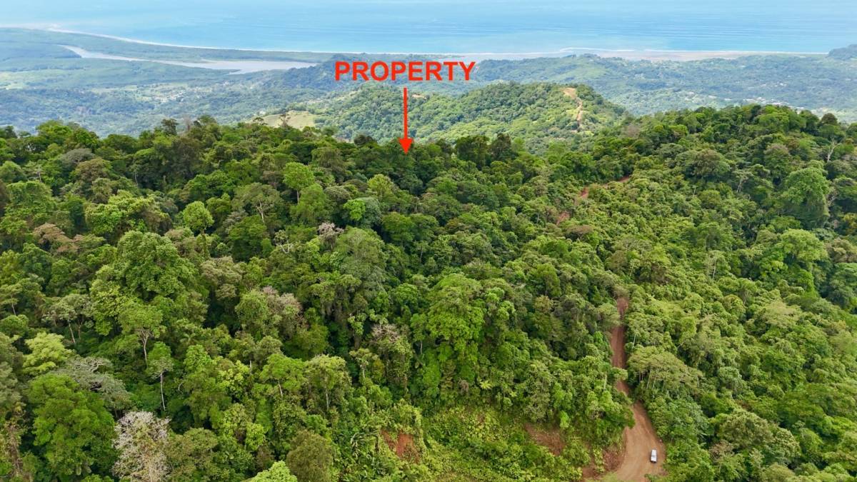 Finca en Ojochal