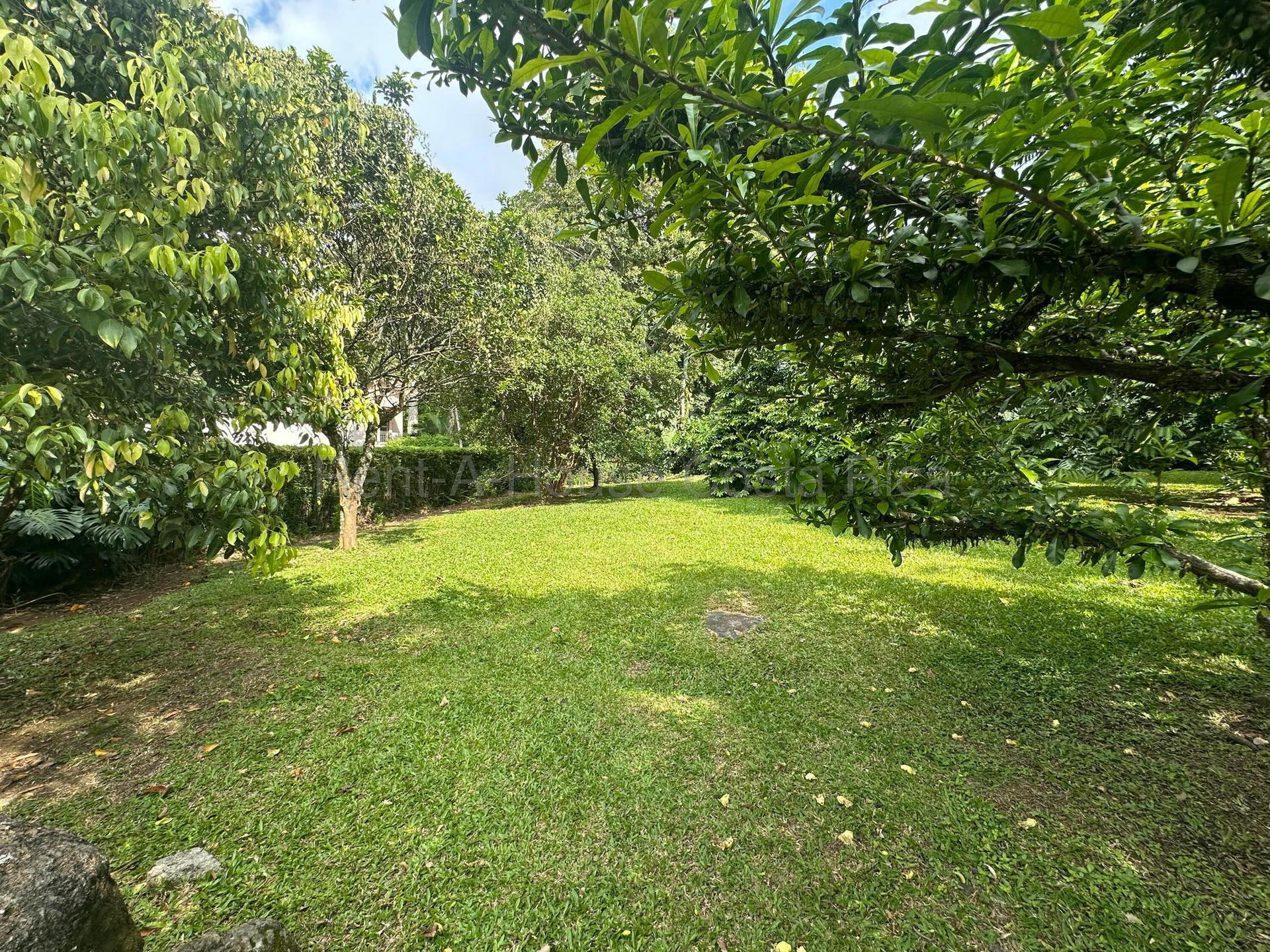 Property at Colón